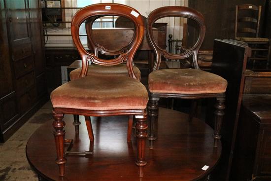 Three Victorian spoon back chairs